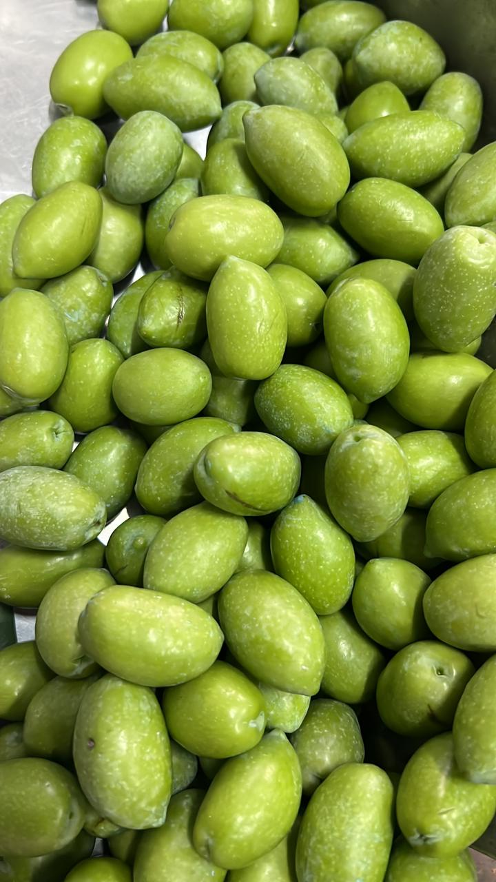 Halkidiki Olives